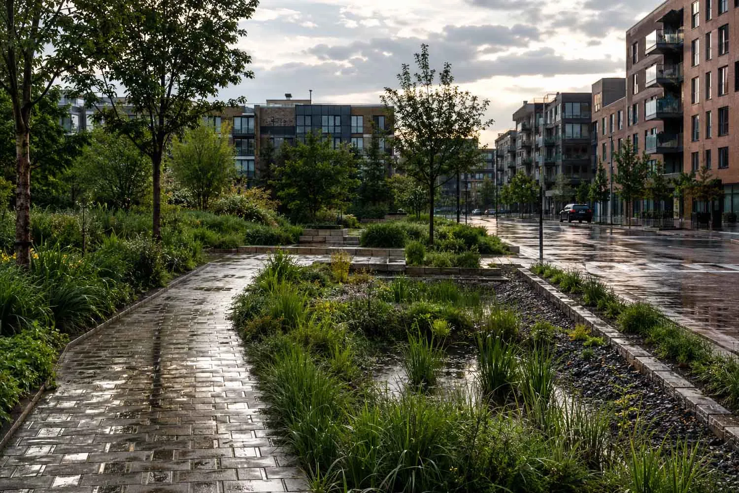 Città spugna: il segreto per salvare le nostre case dagli allagamenti (partendo dal giardino di fianco)