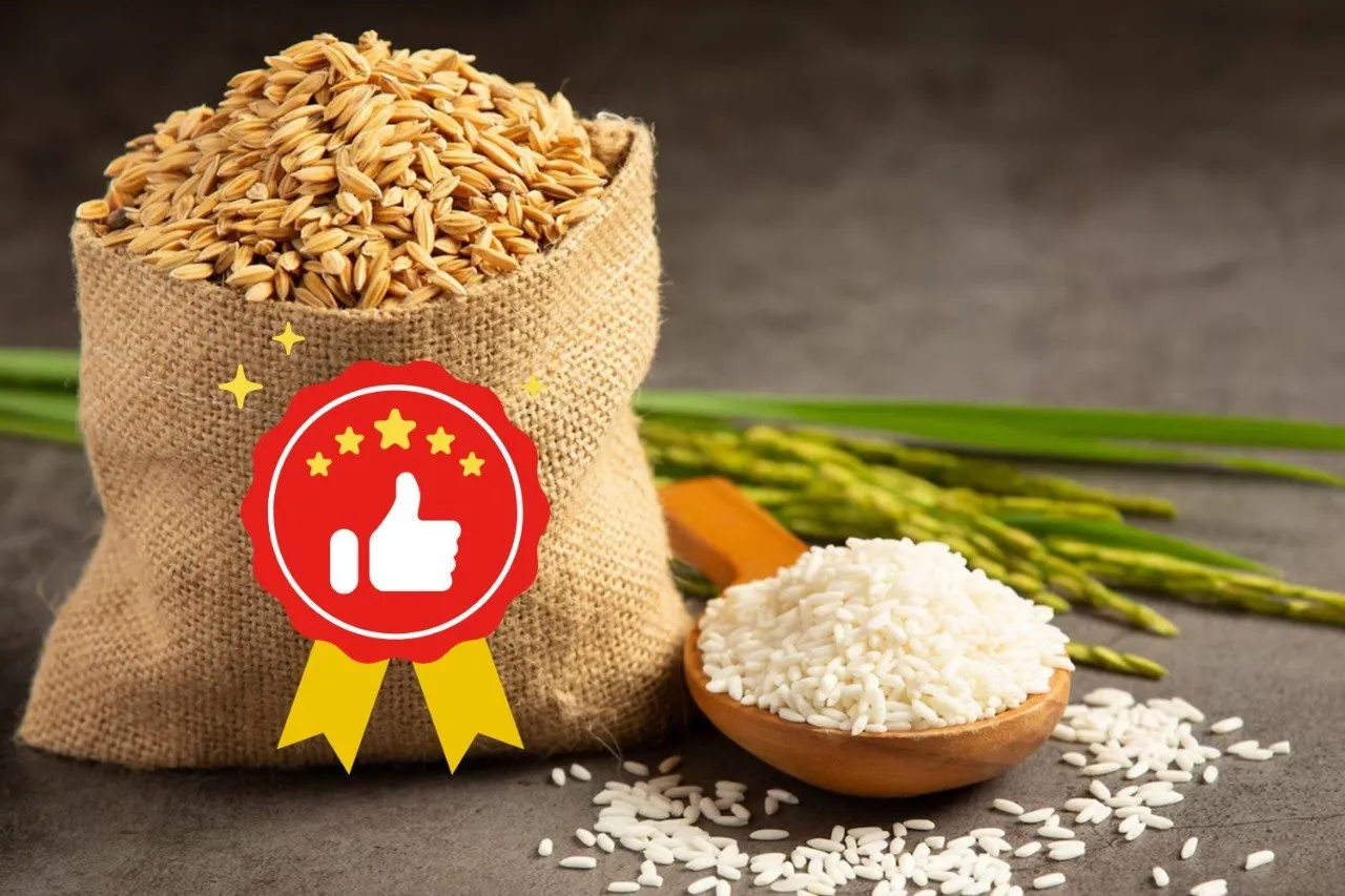 Dimentica Scotti o Riso Principe, è questo il Riso Carnaroli migliore del test per Altroconsumo (che boccia i più costosi)