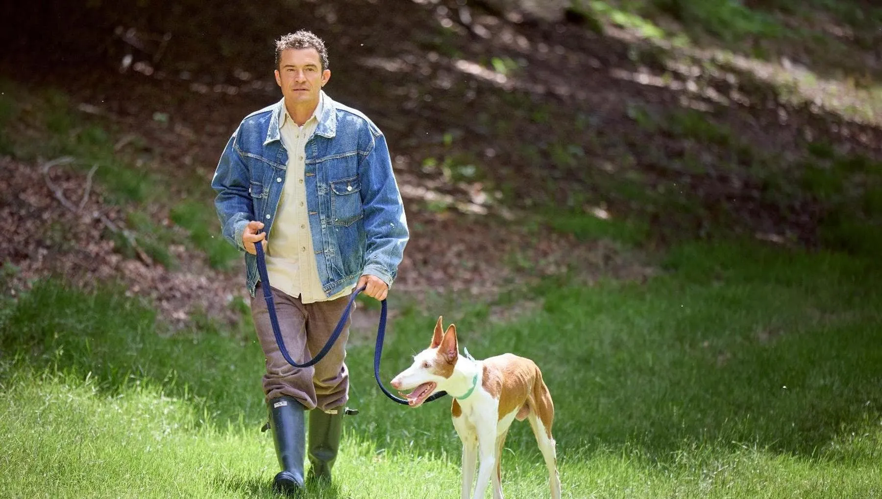 Orlando Bloom: “I cani sono famiglia e compagni di vita, amarli vuol dire anche curarli”