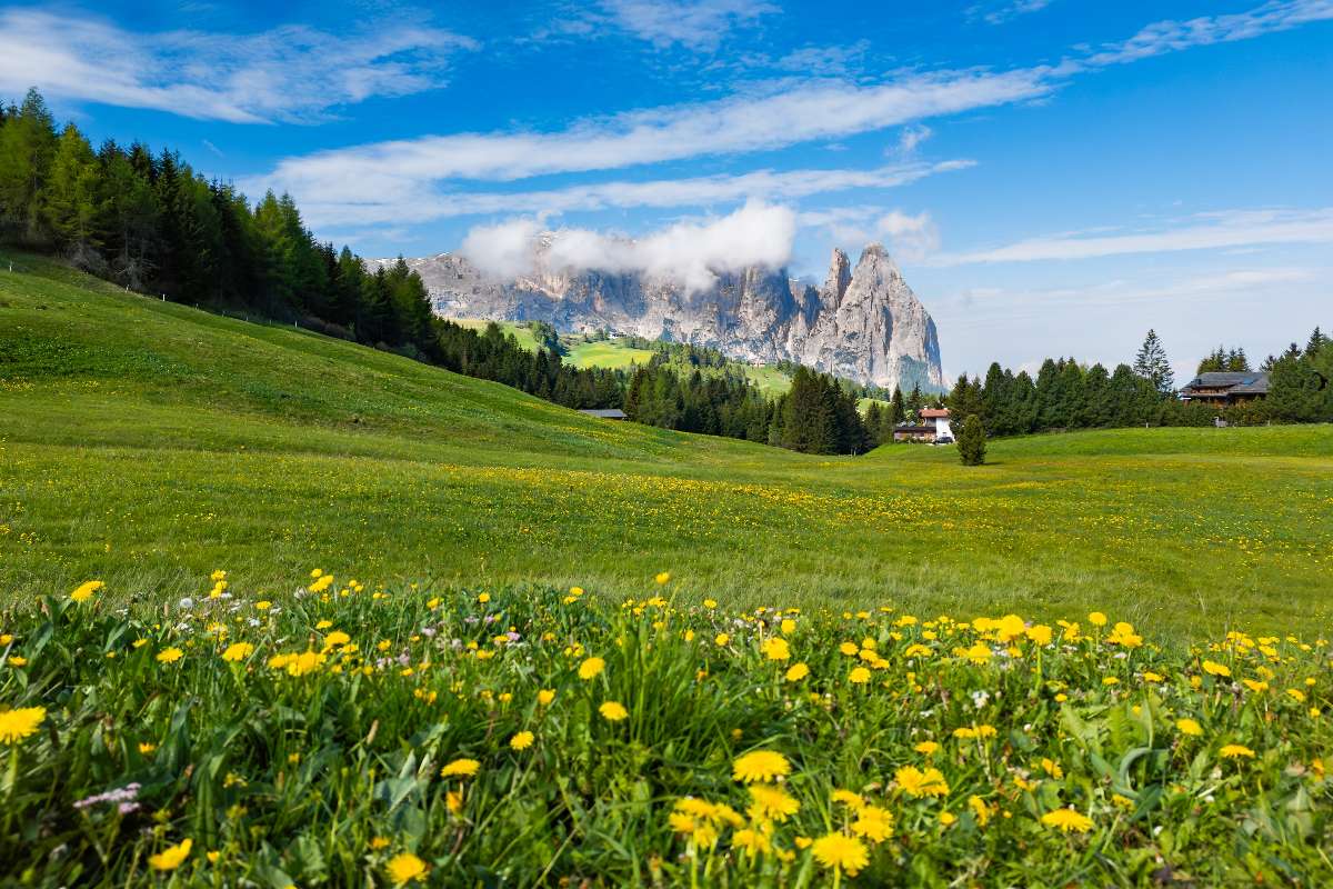 Primavera sull’Alpe di Siusi: paesaggi dolomitici e vacanza slow