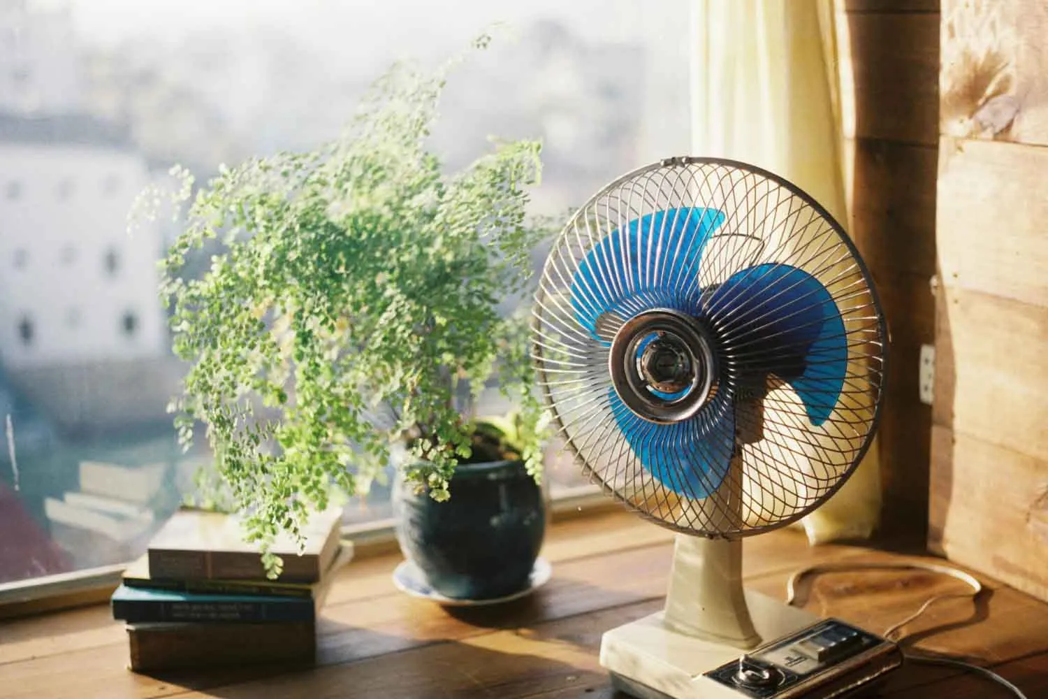 Ti spiego perché di sopra di questa temperatura il ventilatore diventa controproducente ed è meglio spegnerlo