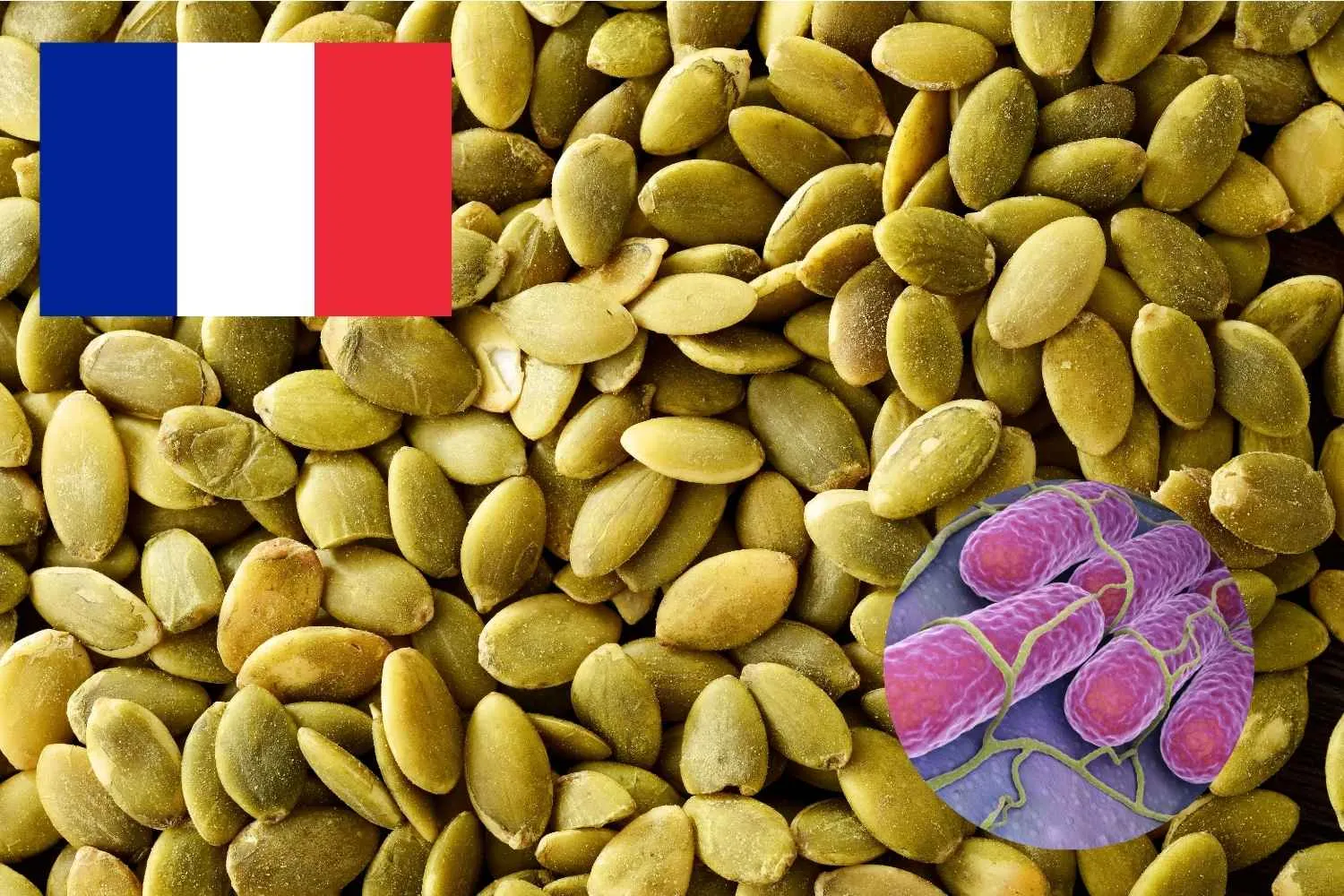 Semi di zucca contaminati da Salmonella, registrati oltre 80 casi in Francia: scatta il richiamo nazionale