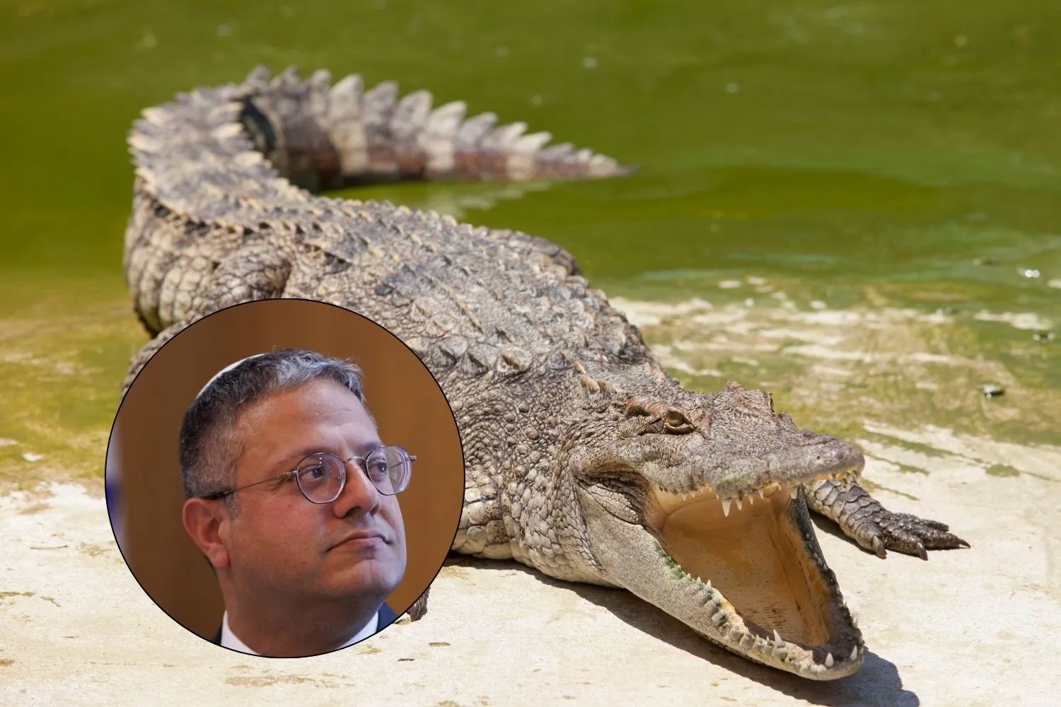 nel titolo? Israele vuole piazzare i coccodrilli attorno alle carceri palestinesi: il folle piano "Alligator Alcatraz" (ispirato a quello di Trump)