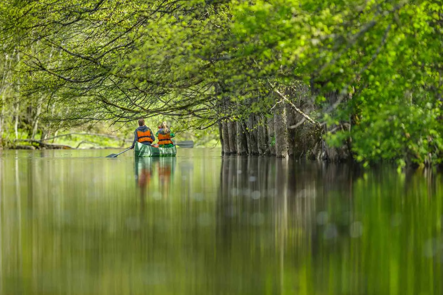 Siamo stati a Soomaa: il parco nazionale in Estonia che in primavera si può esplorare solo in canoa