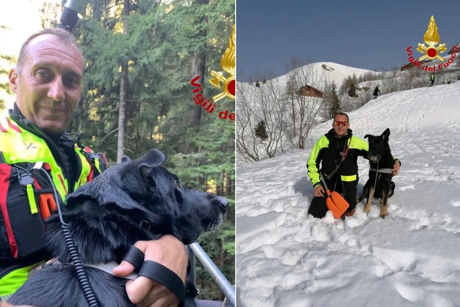 I Vigili del Fuoco dicono addio a Hakkin, il coraggioso cane da soccorso che ha preso parte a 167 missioni salvavita