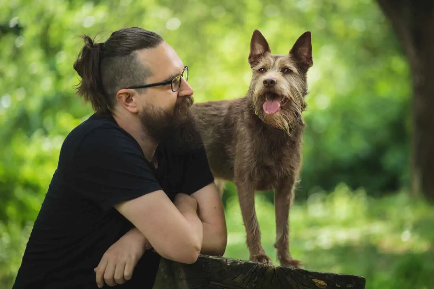 I cani possono abbaiare a comando? La risposta degli scienziati potrebbe dirci qualcosa sulle origini del linguaggio umano