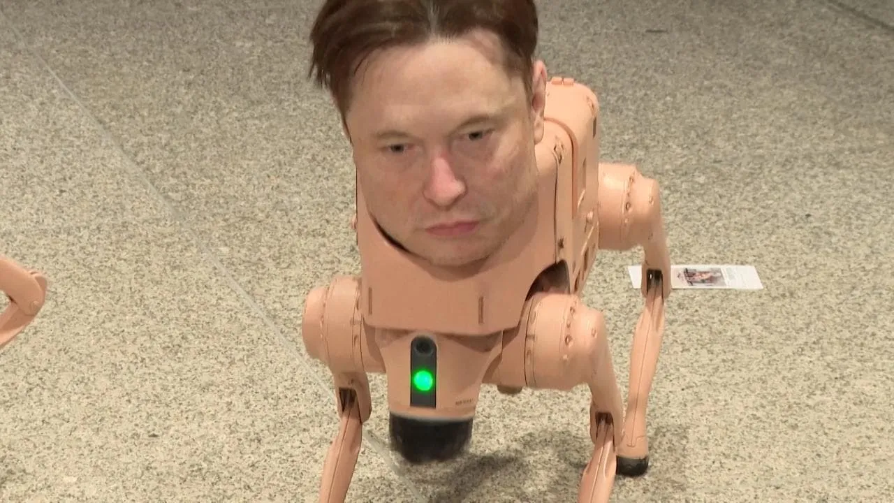 I cani robot con i volti di miliardari tech e dittatori: raccontano un nuovo sguardo sul mondo