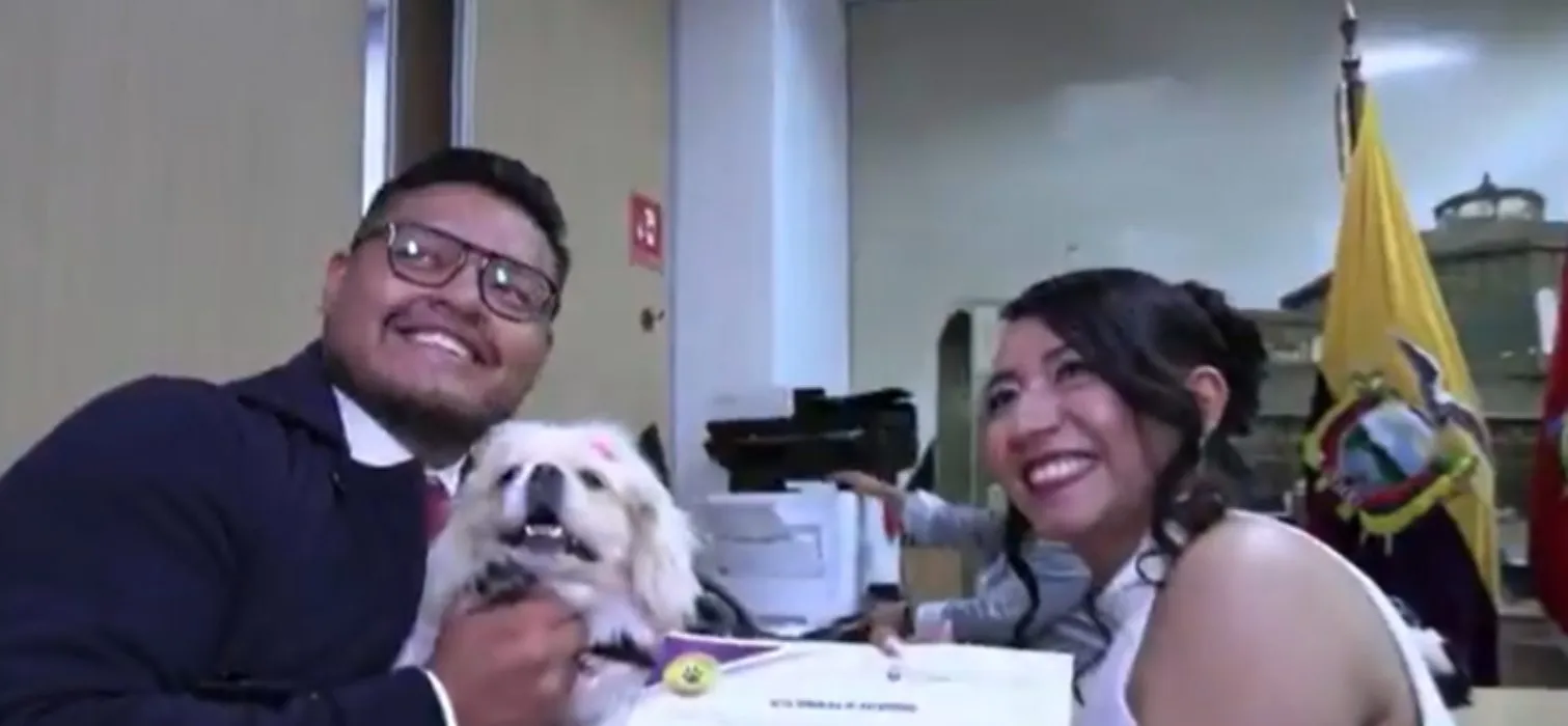 Cagnolina fa da testimone di nozze ai suoi amici umani: in questo Paese l’atto di matrimonio si firma con l'impronta